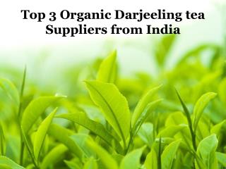 Top 3 Organic Darjeeling tea Suppliers from India