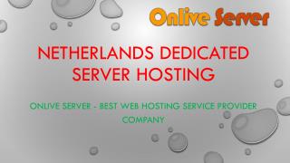 Onlive Server â€“ Cheapest Netherlands Dedicated Server Hosting