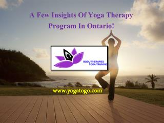 A Few Insights Of Yoga Therapy Program In Ontario!