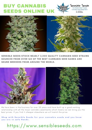 Buy Cannabis Seeds Online UK