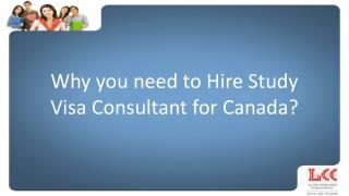 Necessity of Hiring Study Visa Consultants for Canada