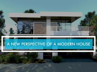 A New Perspective of a Modern House