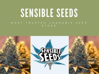 Free Cannabis Seeds