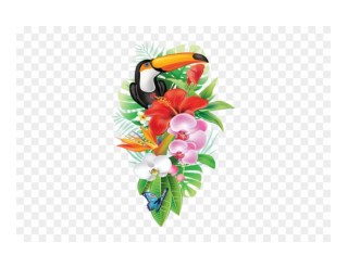 Flower - Tropical Png - Free Transparent PNG Clipart Images Download. ClipartMax.com