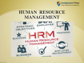 Effective Communication Skills and Creative Approaches in HRM