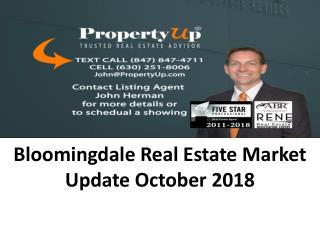 Bloomingdale Real Estate Market Update October 2018