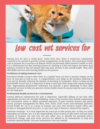 Low-Cost Vet Services For Cats