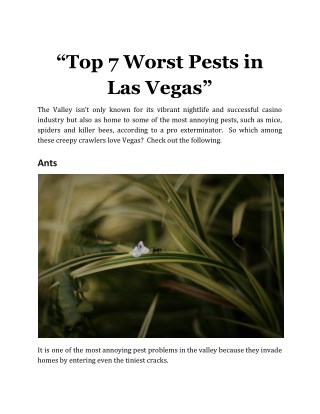 Top 7 Worst Pests in Las Vegas