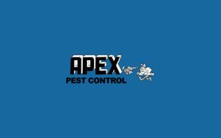Quality Pest Control Service - Apex Pest Control