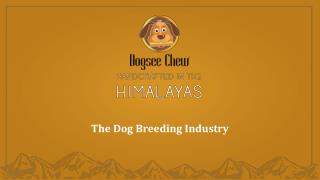 The Dog Breeding Industry