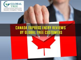 Canada Express Entry Reviews by Global Tree Customers