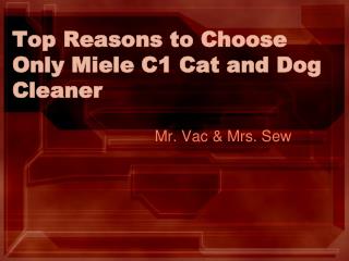 Top Reasons to Choose Only Miele C1 Cat and Dog Cleaner