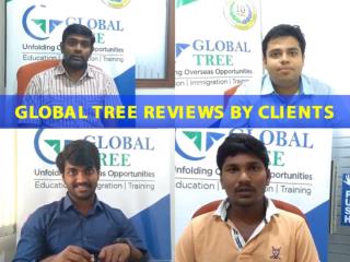 Global Tree Reviews by Clients
