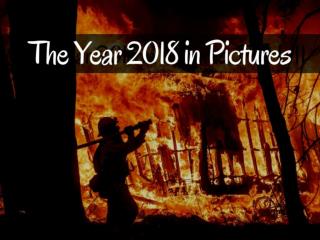 The year 2018 in pictures