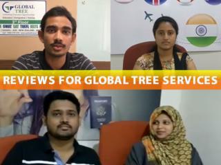Reviews For Global Tree services