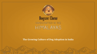 The Growing Culture of Dog Adoption in India