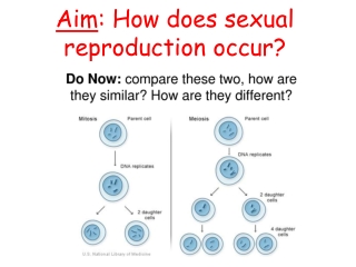 Aim : How does sexual reproduction occur?