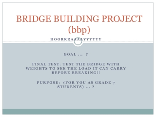 BRIDGE BUILDING PROJECT ( bbp )