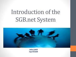 Introduction of the SGB System