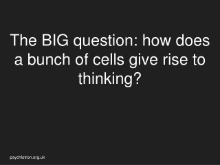 The BIG question: how does a bunch of cells give rise to thinking?