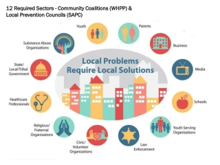 12 Required Sectors - Community Coalitions (WHPP) &amp; Local Prevention Councils (SAPC)