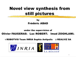 Novel view synthesis from still pictures