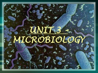 UNIT 3 – MICROBIOLOGY
