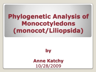 Phylogenetic Analysis of Monocotyledons (monocot/ Liliopsida ) by Anne Katchy 10/28/2009