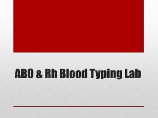 ABO &amp; Rh Blood Typing Lab