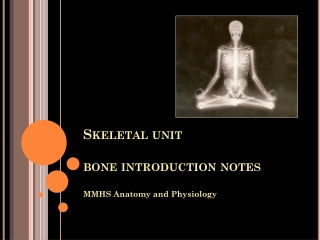 Skeletal unit bone introduction notes