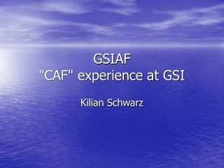 GSIAF &quot;CAF&quot; experience at GSI
