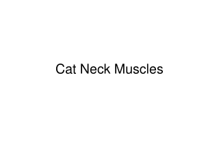 Cat Neck Muscles