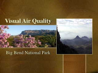 Visual Air Quality