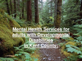 Mental Health Services for adults with Developmental Disabilities in Kent County: