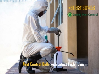 Pest Control Delhi with Latest Techniques