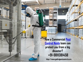 Hire Pest Control Gurgaon Services | Call 9811381458