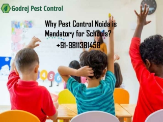Why Pest Control Noida is Mandatory for Schools?
