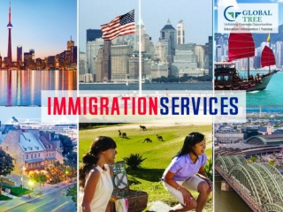 Immigration Consultants | Overseas Immigration Services - Global Tree