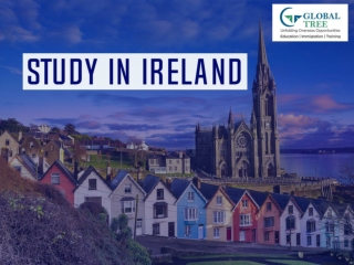 Study In Ireland Education Consultants - Global Tree