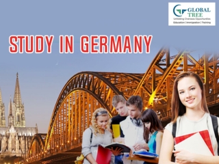 Germany Education Consultants | Study in Germany - Global Tree