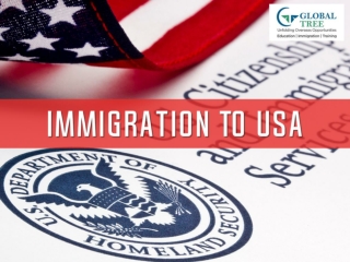 USA Immigration Consultants | Immigration to USA - Global Tree