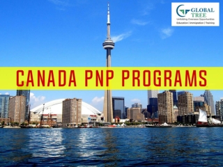 PNP Canada Immigration | Canada PNP Program - Global Tree