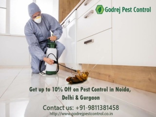 Pest Control in Gurgaon | Pest Control Delhi