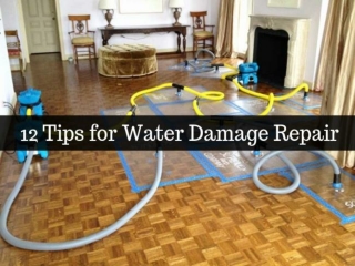 12 Tips for Water Damage Repair in Riverside