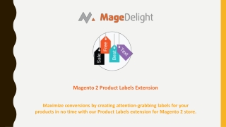 Promote Your Products with Magento 2 Product Labels Extension