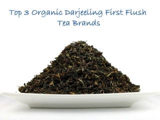Top 3 Organic Darjeeling First Flush Tea Brands