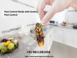 Pest Control Noida with Godrej Pest Control