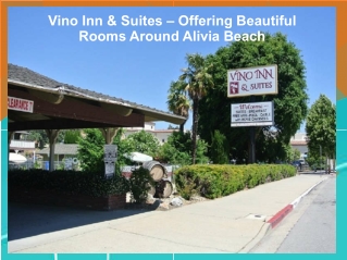 Vino Inn & Suites – Offering Beautiful Rooms Around Alivia Beach