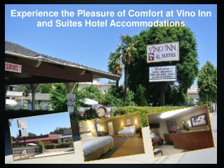 Experience the Pleasure of Comfort at Vino Inn and Suites Hotel Accommodations