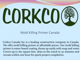 Mold Killing Primer Canada